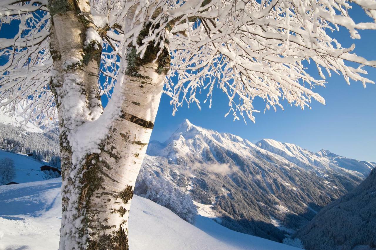 Landhaus Zum Griena Mayrhofen Bagian luar foto